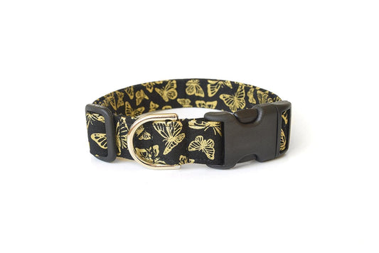 Black & Gold Butterflies Dog Collar