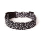Black & White Web Dog Collar
