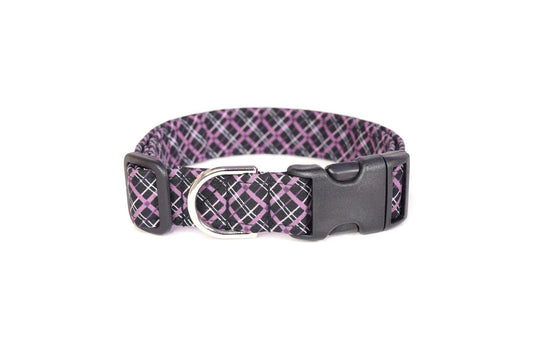 Black & Purple Plaid Dog Collar