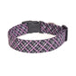 Black & Purple Plaid Dog Collar