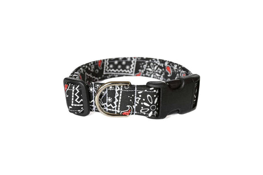 Black & White Paisley with Red Accents Bandana Print Dog Collar