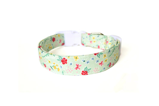 Mint Green Multicolor Floral Dog Collar