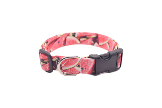 Pink Watermelon Slices Dog Collar - Handmade by Kira's Pet Shop