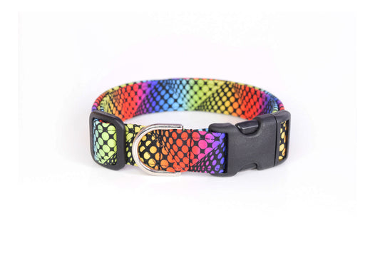Rainbow Dots on Black Dog Collar - Handmade by Kira's Pet Shop