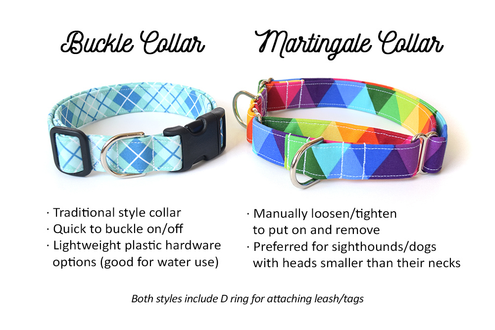 Standard Buckle vs Martingale Dog Collar Comparison