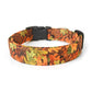 Autumn Leaves Dog Collar