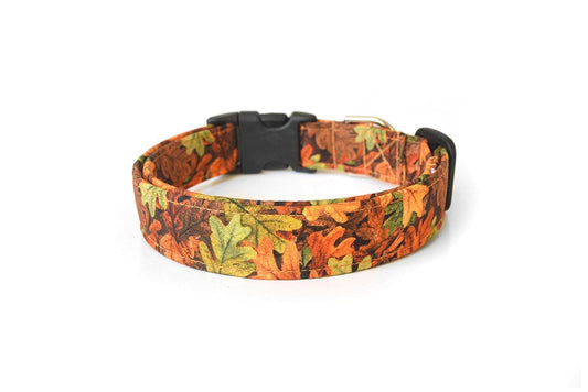 Autumn Leaves Dog Collar