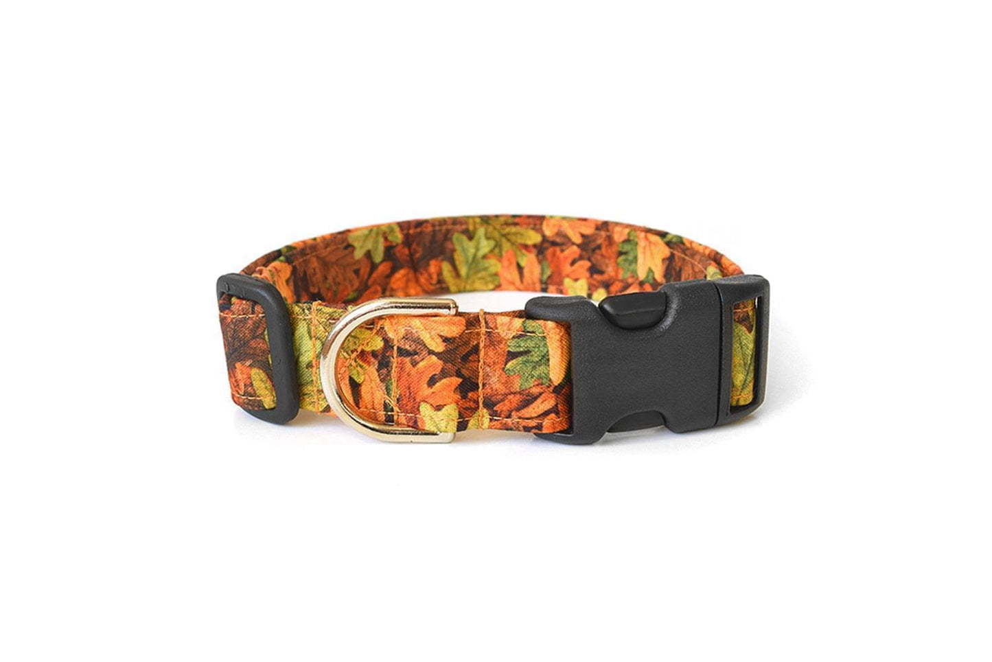 Autumn Leaves Dog Collar