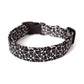 Black & White Web Dog Collar