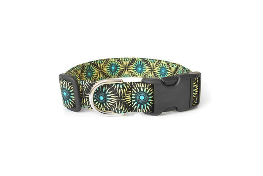 Black with Yellow & Teal Blue Suns Dog Collar