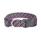 Black & Purple Plaid Dog Collar