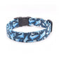 Blue Sharks Dog Collar