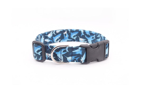 Blue Sharks Dog Collar
