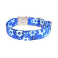 Blue & Silver Star of David Hanukkah Dog Collar
