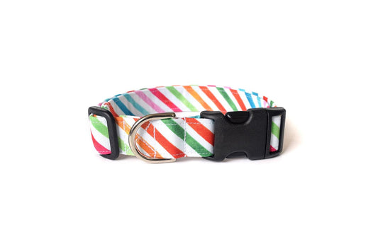 Candy Rainbow Stripes Dog Collar