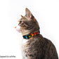 Rainbow Chevron Breakaway Cat Collar - Rainbow Cat Collar - Handmade by Kira's Pet Shop - Modeled by Cinna @dipped.in.white