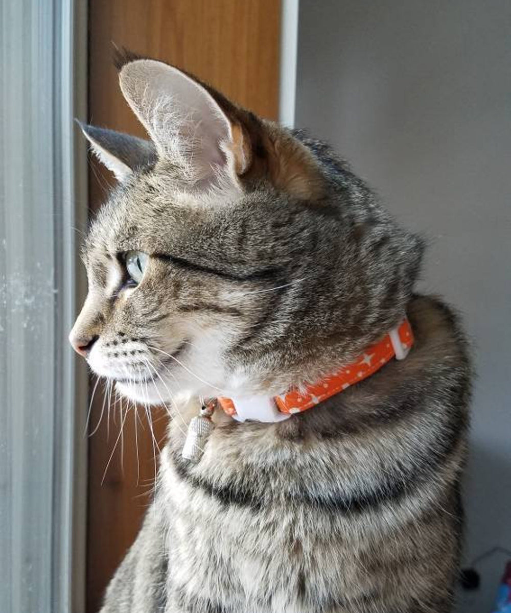 Orange Cat Collar (Modeled by a tabby cat) - Orange Stars & Dots - Breakaway Cat Collar - Handmade by Kira's Pet Shop