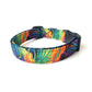 Rainbow Mane Dog Collar