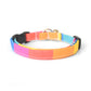 Wide Rainbow Stripes Breakaway Cat Collar - Colorful Rainbow Cat Collar - Handmade by Kira's Pet Shop