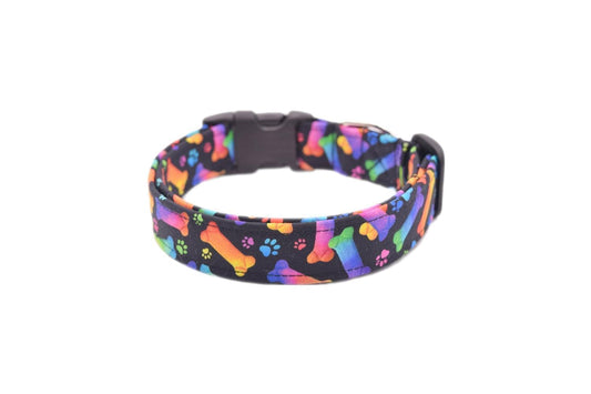 Black & Rainbow Bones Dog Collar