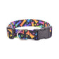 Black & Rainbow Bones Dog Collar