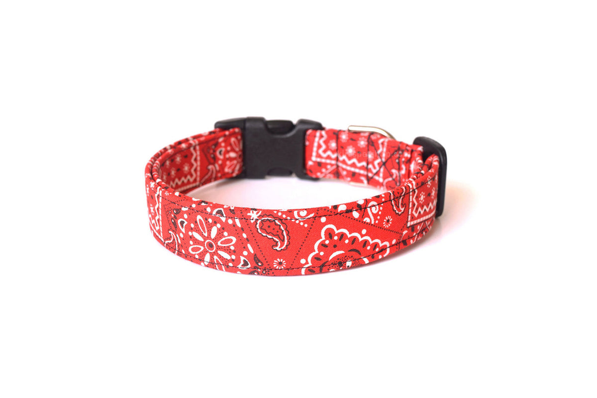 A red bandana print dog collar with a paisley pattern, displaying its vibrant colors and intricate design