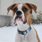 Black, Blue & White Nordic Winter Dog Collar