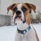 Black, Blue & White Nordic Winter Dog Collar