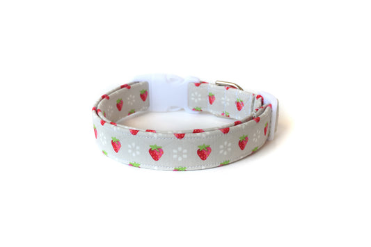 Gray Strawberries Dog Collar - Handmade by Kira's Pet Shop