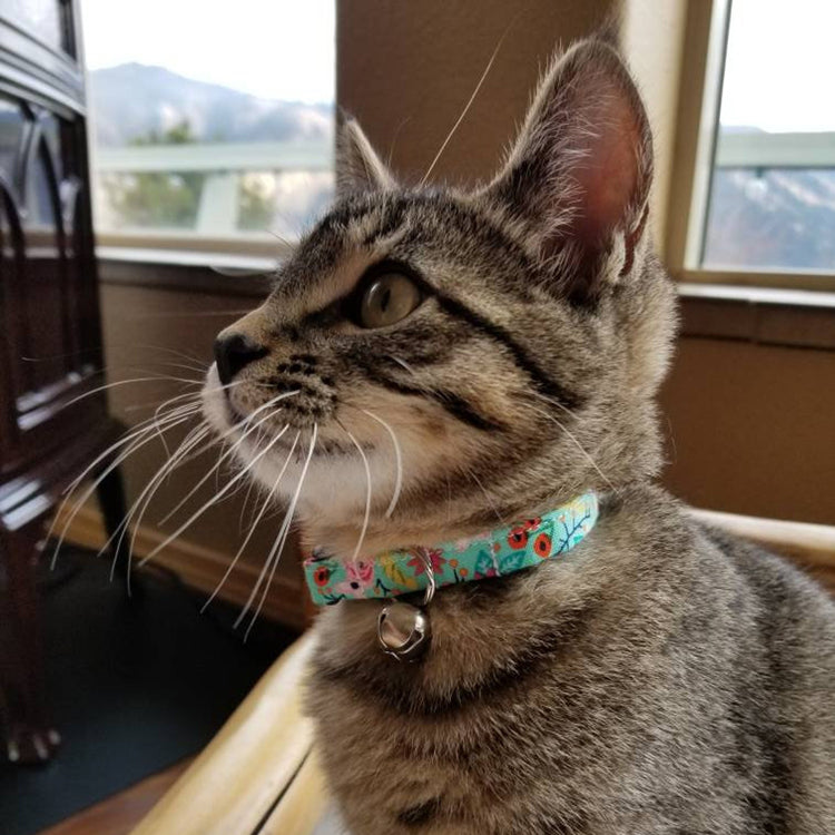 Turquoise Floral Cat Collar - Teal Blue Floral Breakaway Cat Collar - Handmade by Kira's Pet Shop - Modeled by one of our happy cat customers!