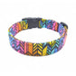 Vertical Rainbow Chevron Dog Collar - Handmade by Kira's Pet Shop